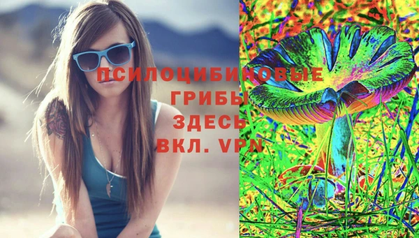 гашиш Магас