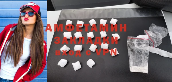 дмт Каменка