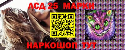 стафф Новозыбков