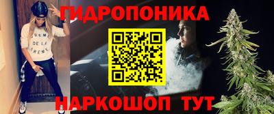 стафф Новозыбков