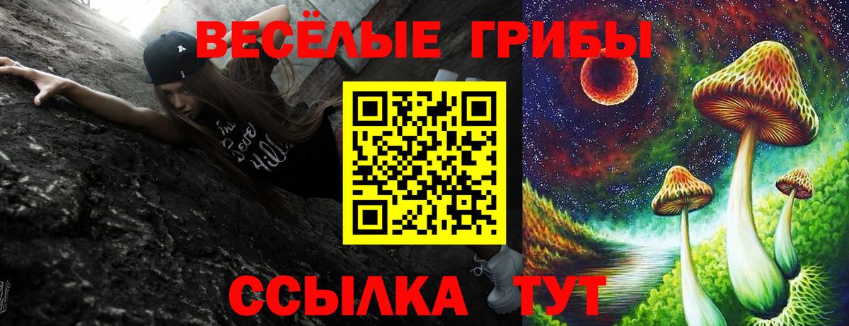 Россошь  закладки  Вход с VPN  Галлюциногенные грибы Magic Shrooms 